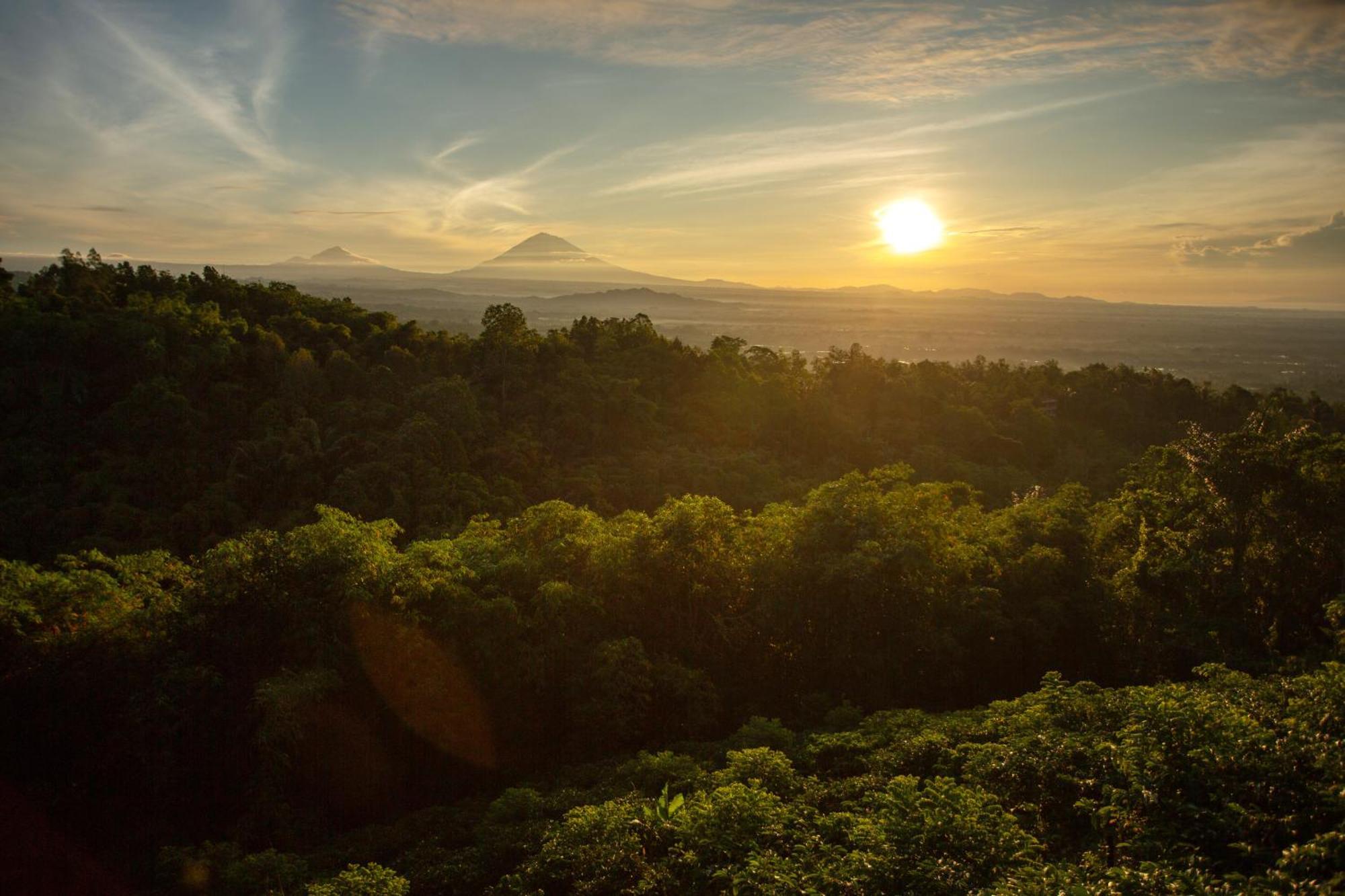 Aurora Cabins By Panoramika จาตีลูวีห์ ภายนอก รูปภาพ